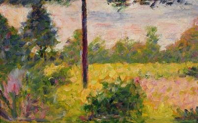 Barbizon Forest